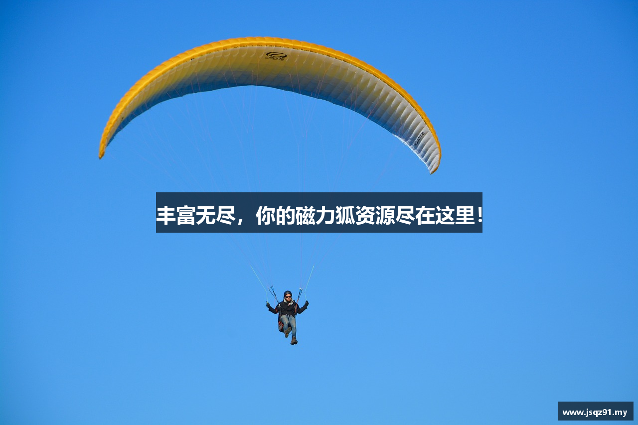 丰富无尽，你的磁力狐资源尽在这里！